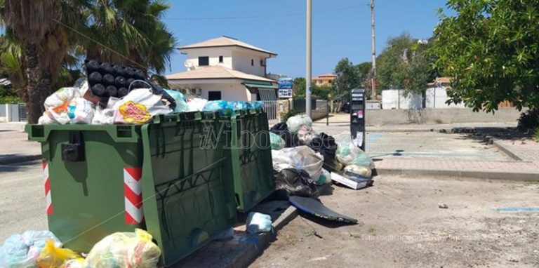 Capo Vaticano: parcometro fra la spazzatura, la protesta di una turista