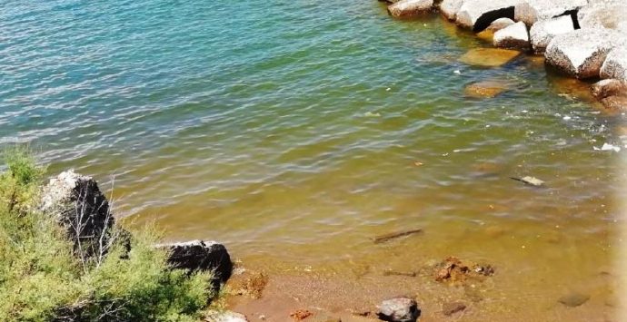 Fioritura algale a Pizzo, Arpacal: «Non è tossica». Ma il mare resta sporco