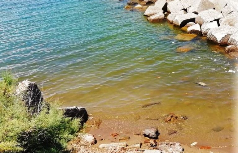 Fioritura algale a Pizzo, Arpacal: «Non è tossica». Ma il mare resta sporco