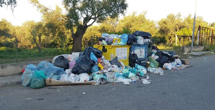 Rifiuti in strada a Vibo, Slai-Cobas: «Aumentare il monte ore per garantire il servizio»