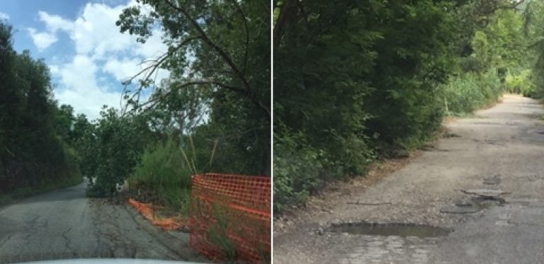 Strade “giungla” a Dinami, il Comitato civico si rivolge a Mattarella