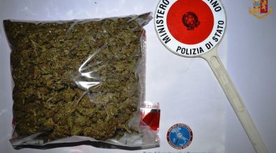 Viaggiava in auto con mezzo chilo di marijuana, un arresto nelle Serre