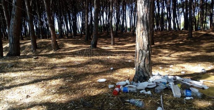 Ferragosto in pineta, siamo alle solite: quella di Pizzo ora è una discarica – Video