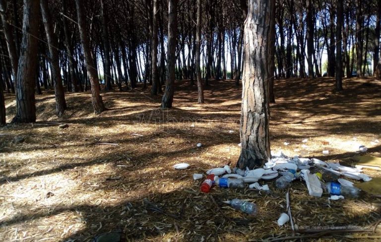 Ferragosto in pineta, siamo alle solite: quella di Pizzo ora è una discarica – Video