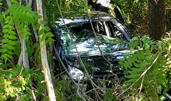 Incidente nel Vibonese, auto precipita in un dirupo di 20 metri – Foto