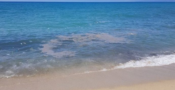 Mare sporco a Vibo Marina, Pizzo e Bivona – Foto