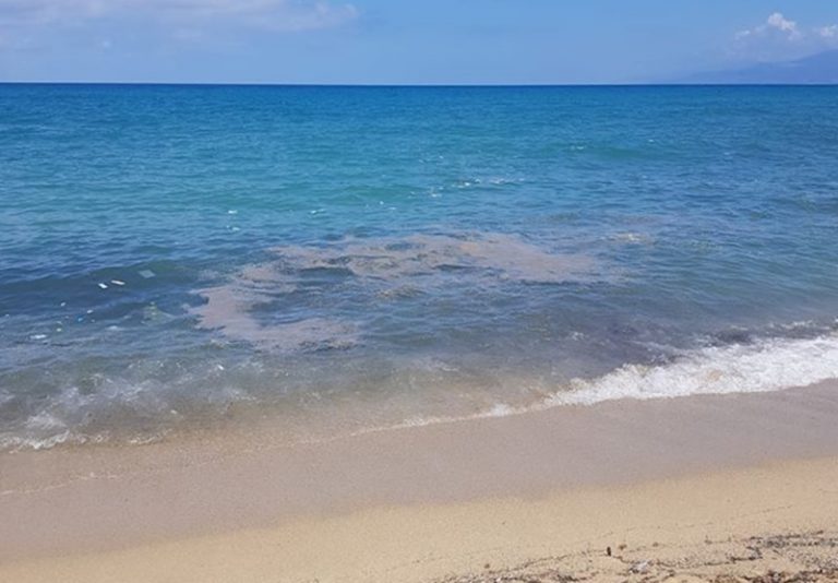 Mare sporco a Vibo Marina, Pizzo e Bivona – Foto