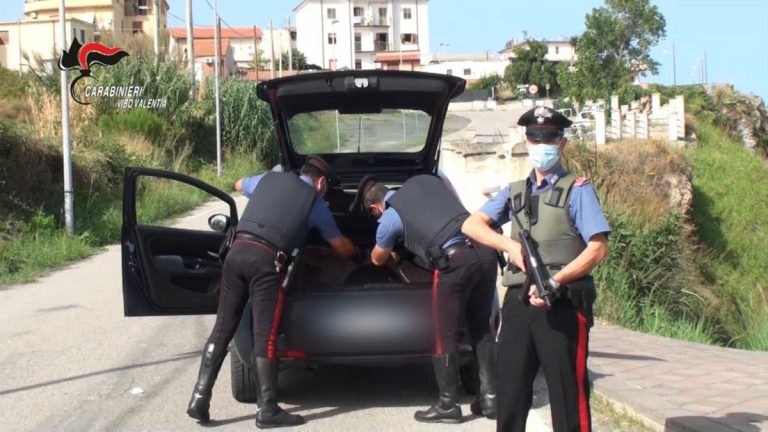 Violenta rapina ai danni di un’anziana, arrestato 22enne di Briatico – Video