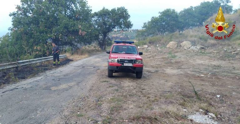 Ben 22 incendi nel Vibonese, interrotta la linea ferroviaria