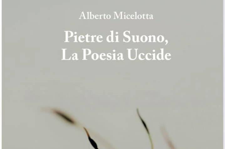 “Pietre di suono”, su Eppela il nuovo libro di Alberto Micelotta