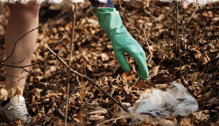 In campo per ripulire le strade, in tre comuni del Vibonese via alla Giornata ecologica