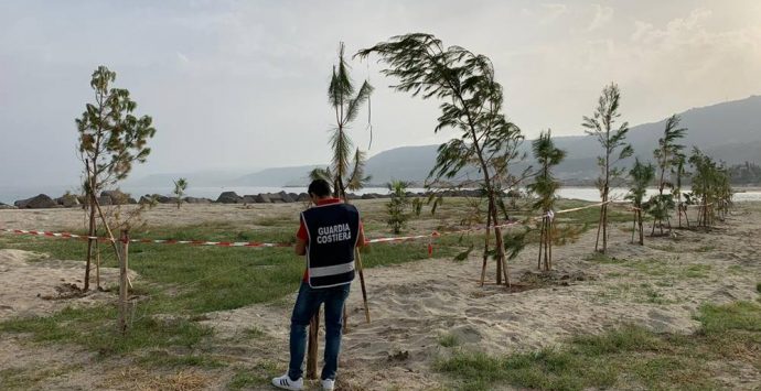 Pineta priva di autorizzazione su area demaniale, una denuncia a Vibo Marina