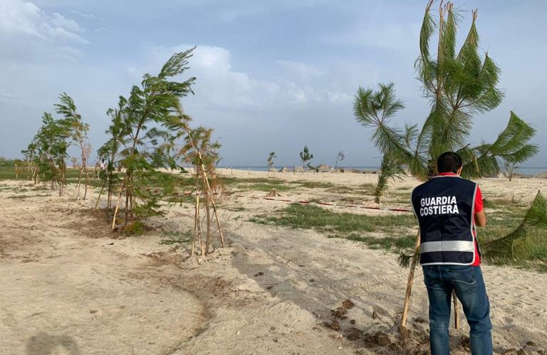 Pineta su area demaniale a Vibo Marina, annullato il sequestro