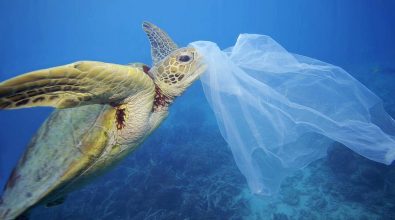 La battaglia contro le plastiche in mare fa proseliti nel Vibonese