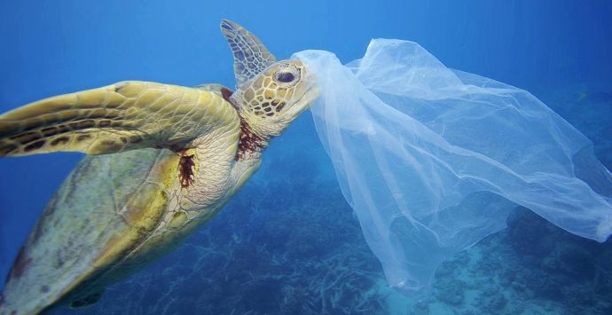 La battaglia contro le plastiche in mare fa proseliti nel Vibonese