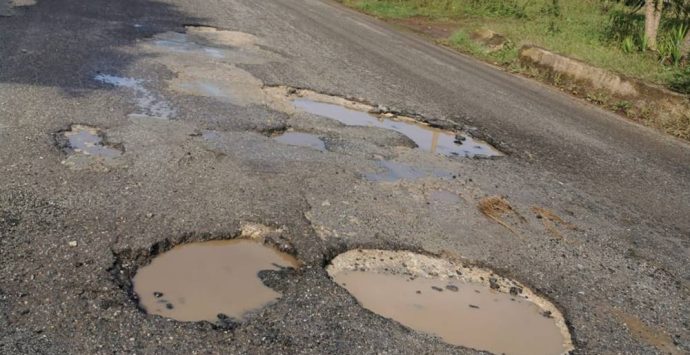 Francica, strade costellate da buche ed erbacce: cresce l’indignazione – Foto