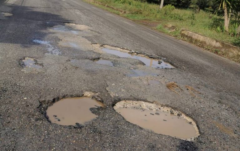 Francica, strade costellate da buche ed erbacce: cresce l’indignazione – Foto