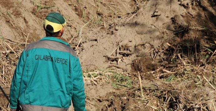 Calabria Verde “taglia” gli operai a Nardodipace e Fabrizia, protestano i sindaci