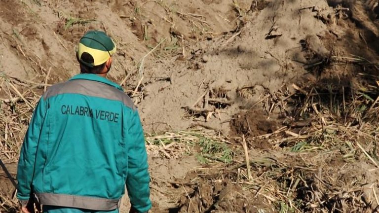 Calabria Verde “taglia” gli operai a Nardodipace e Fabrizia, protestano i sindaci