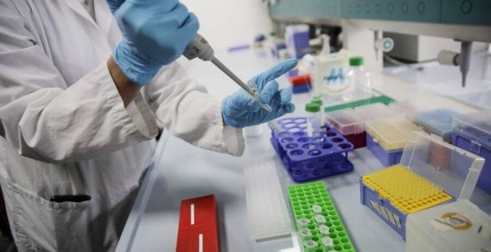 Coronavirus, nuovo picco a Vibo: 82 casi nel bollettino regionale