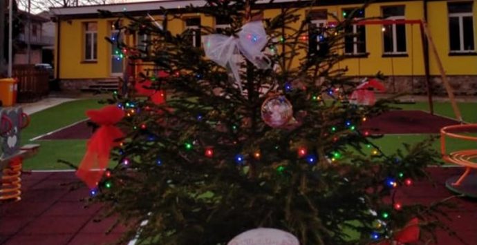A Filogaso l’albero di Natale si illumina nel segno della “stella” Matilde