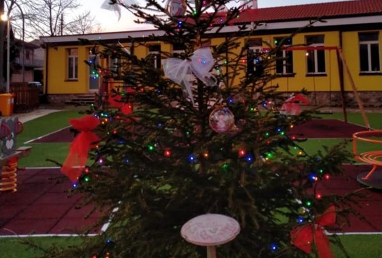 A Filogaso l’albero di Natale si illumina nel segno della “stella” Matilde