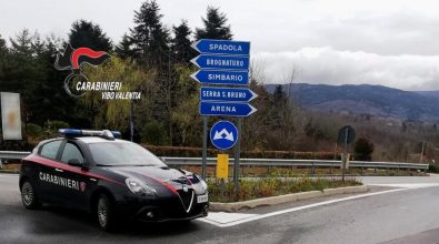 Rubava reti metalliche allo svincolo A2 di Vazzano, arrestato dai carabinieri