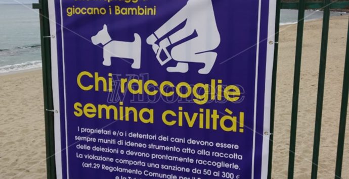 Chi raccoglie (la pupù del proprio cane) semina civiltà: a Vibo Marina spunta il cartello per sensibilizzare
