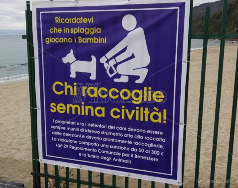 Chi raccoglie (la pupù del proprio cane) semina civiltà: a Vibo Marina spunta il cartello per sensibilizzare