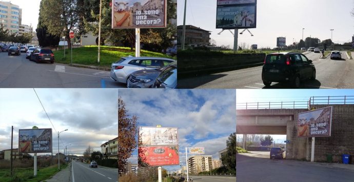 E se il “pecoro” che la politica annaca fossero i calabresi? Torna la misteriosa campagna