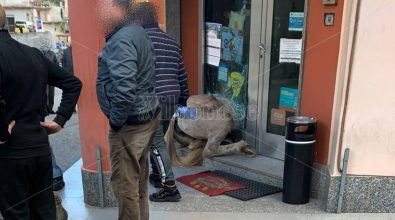 San Calogero, notizie confortanti sulle condizioni del 17enne sbalzato da cavallo