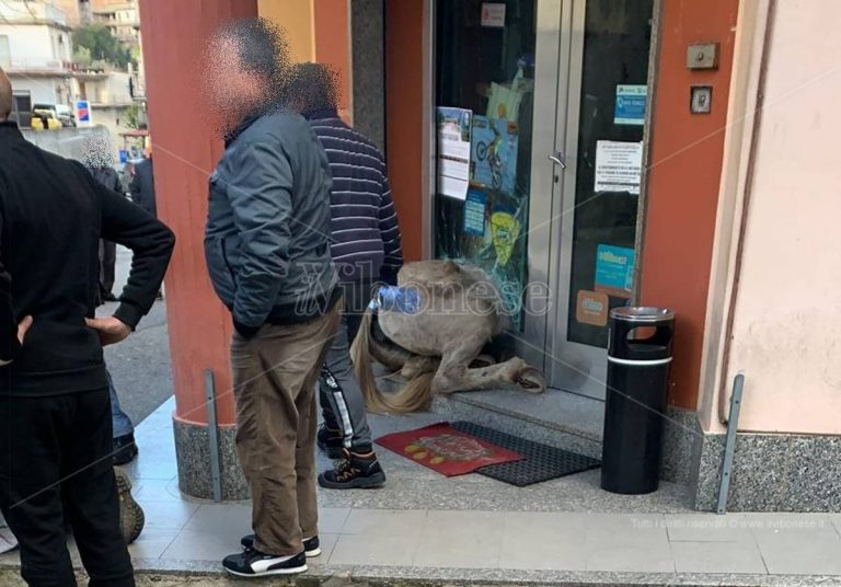 San Calogero, ore d’ansia per le sorti del giovane caduto da cavallo