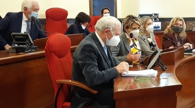 Covid, tamponi gratuiti per tutti i bambini di Vibo: l’iniziativa dei laboratori di analisi