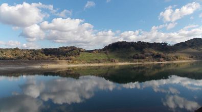 Festa delle oasi Wwf, in Calabria domenica 6 giugno tappa al lago Angitola