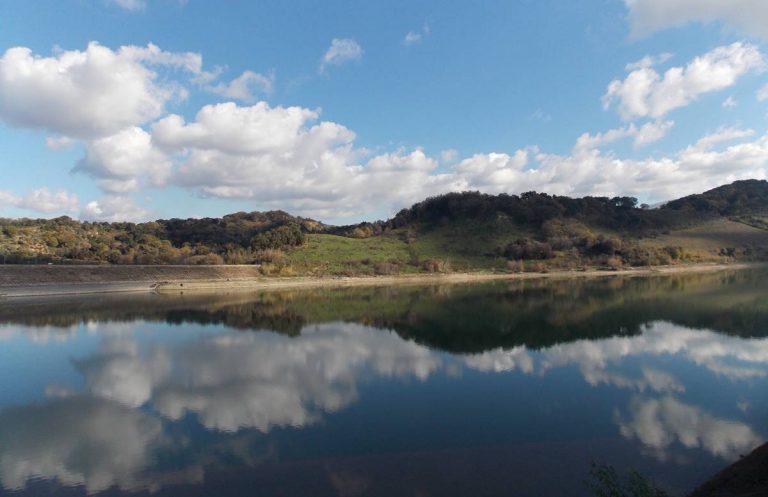 Festa delle oasi Wwf, in Calabria domenica 6 giugno tappa al lago Angitola