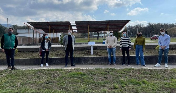 Ulivi in ricordo delle vittime Covid, il progetto dell’associazione Valentia a Cittanova