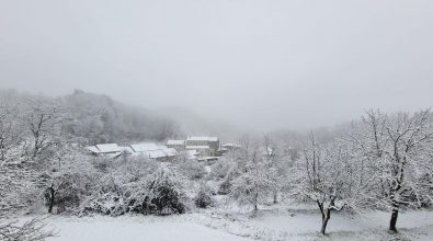 Neve sulle Serre vibonesi: la primavera debutta con fiocchi e gelo in tutta la Calabria