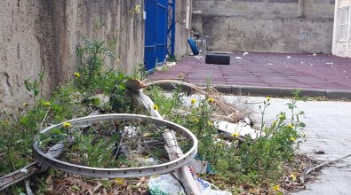 Vibo Marina: micro discariche e deiezioni di cani, la zona franca alla scuola De Maria