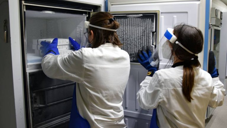Vaccini “scippati”, l’Asp di Reggio: «A Vibo sono fermi in un congelatore»