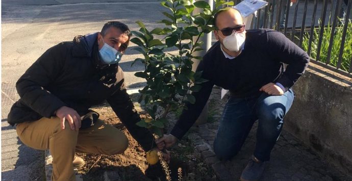 Zambrone ha il suo “giardino della memoria” in ricordo delle vittime del Covid