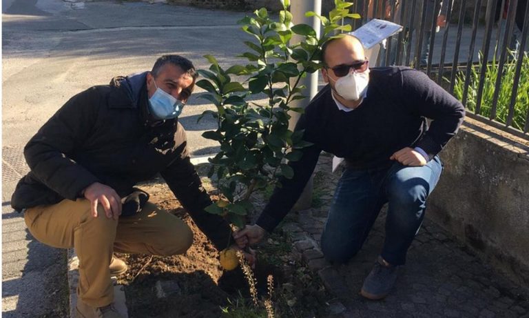 Zambrone ha il suo “giardino della memoria” in ricordo delle vittime del Covid