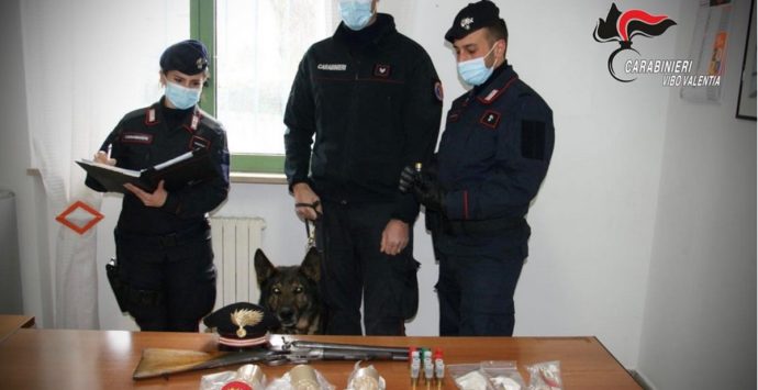 Il cane fiuta armi e bombe carte in casa: arrestato un giovane di Simbario