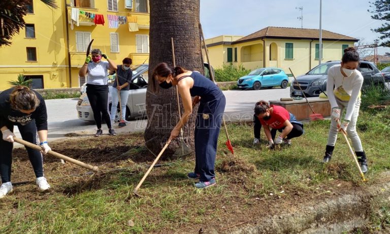 Tornano i fiori nelle aiuole di Vibo Marina grazie ad alunni, mamme e prof