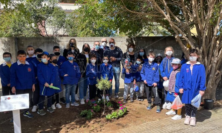 Vibo Marina, i bambini dell’Amerigo Vespucci piantano ulivi in ricordo delle vittime del Covid -Video