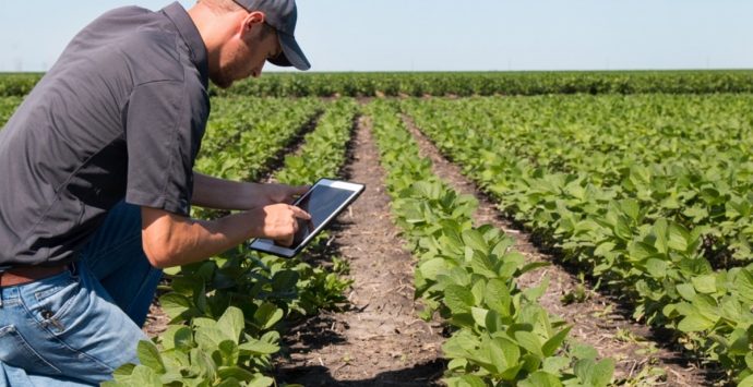 Bando del Gal “Terre Vibonesi” per l’ammodernamento delle aziende agricole