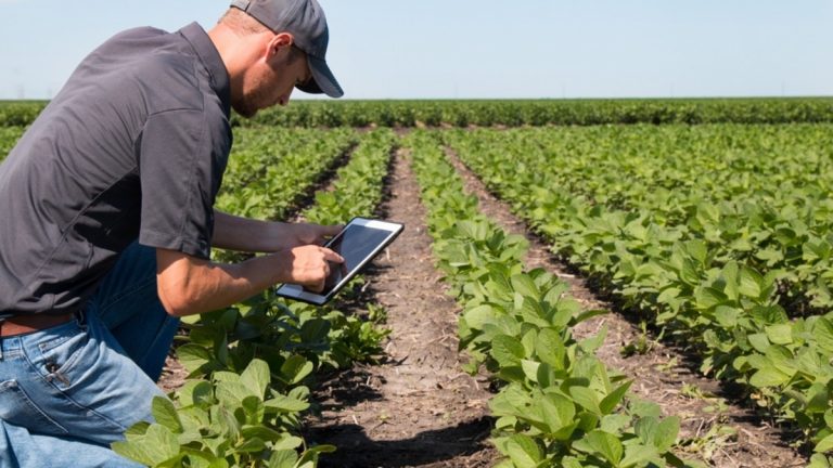 Bando del Gal “Terre Vibonesi” per l’ammodernamento delle aziende agricole