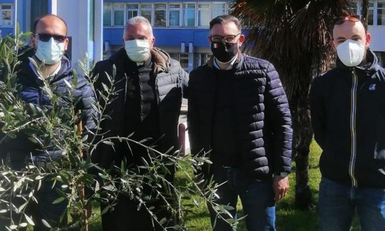 All’ospedale di Lamezia il Giardino della Memoria realizzato dall’Associazione Valentia