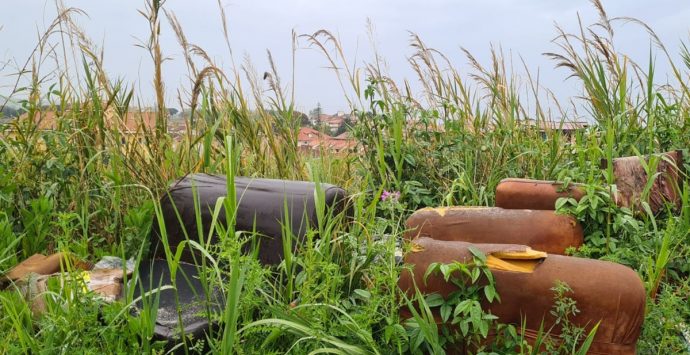 Rifiuti, topi, sporcizia. Patania: «Bivona sprofonda nel degrado»