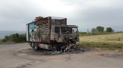 Intimidazione a Mileto: camion distrutto da un rogo