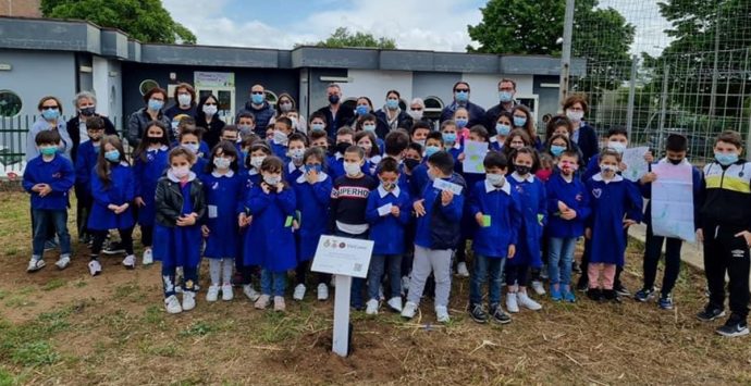 Stefanaconi ha il suo giardino della memoria in ricordo delle vittime del Covid